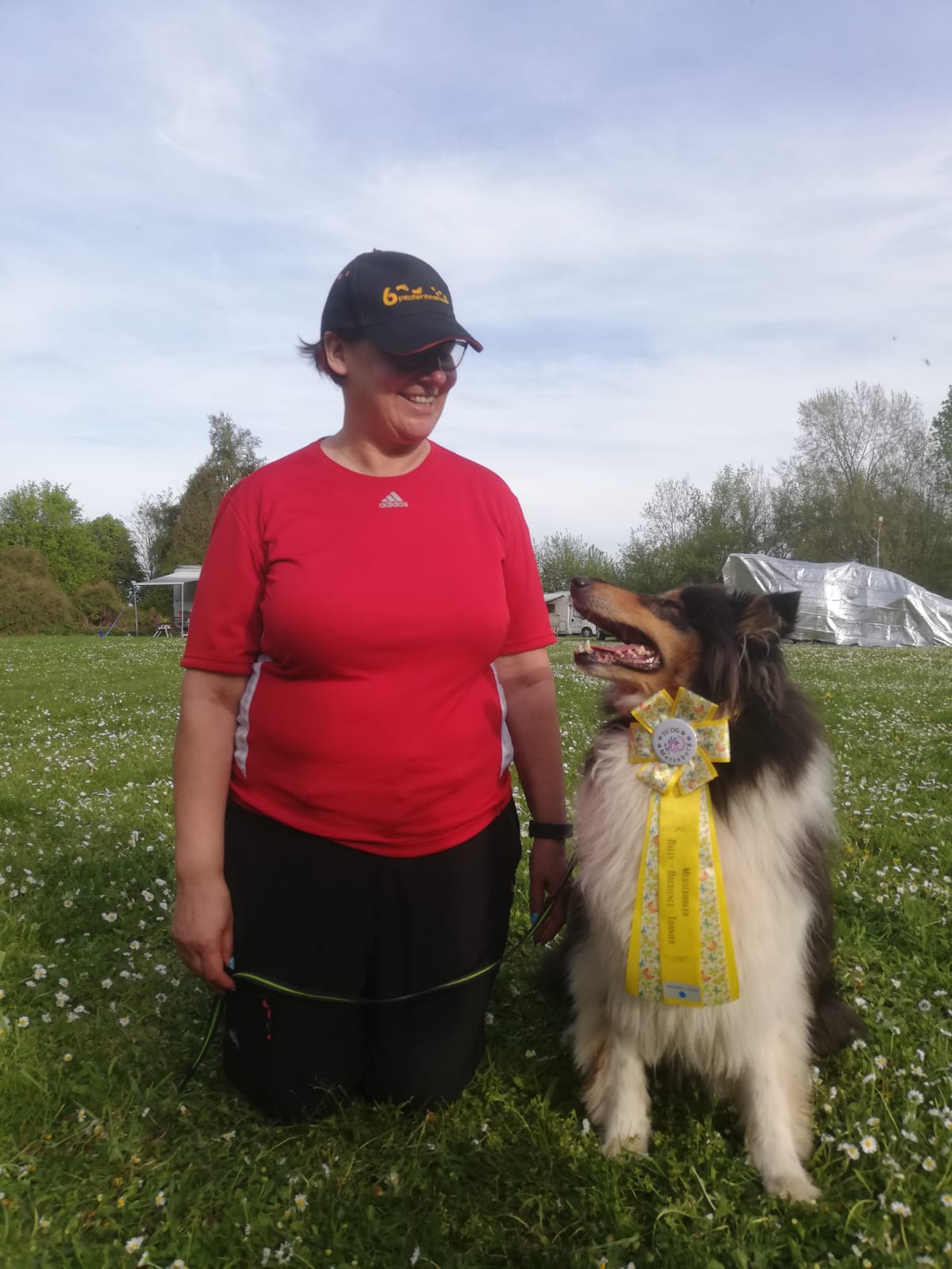 Bumblebee in black Rally Obedience Beginner