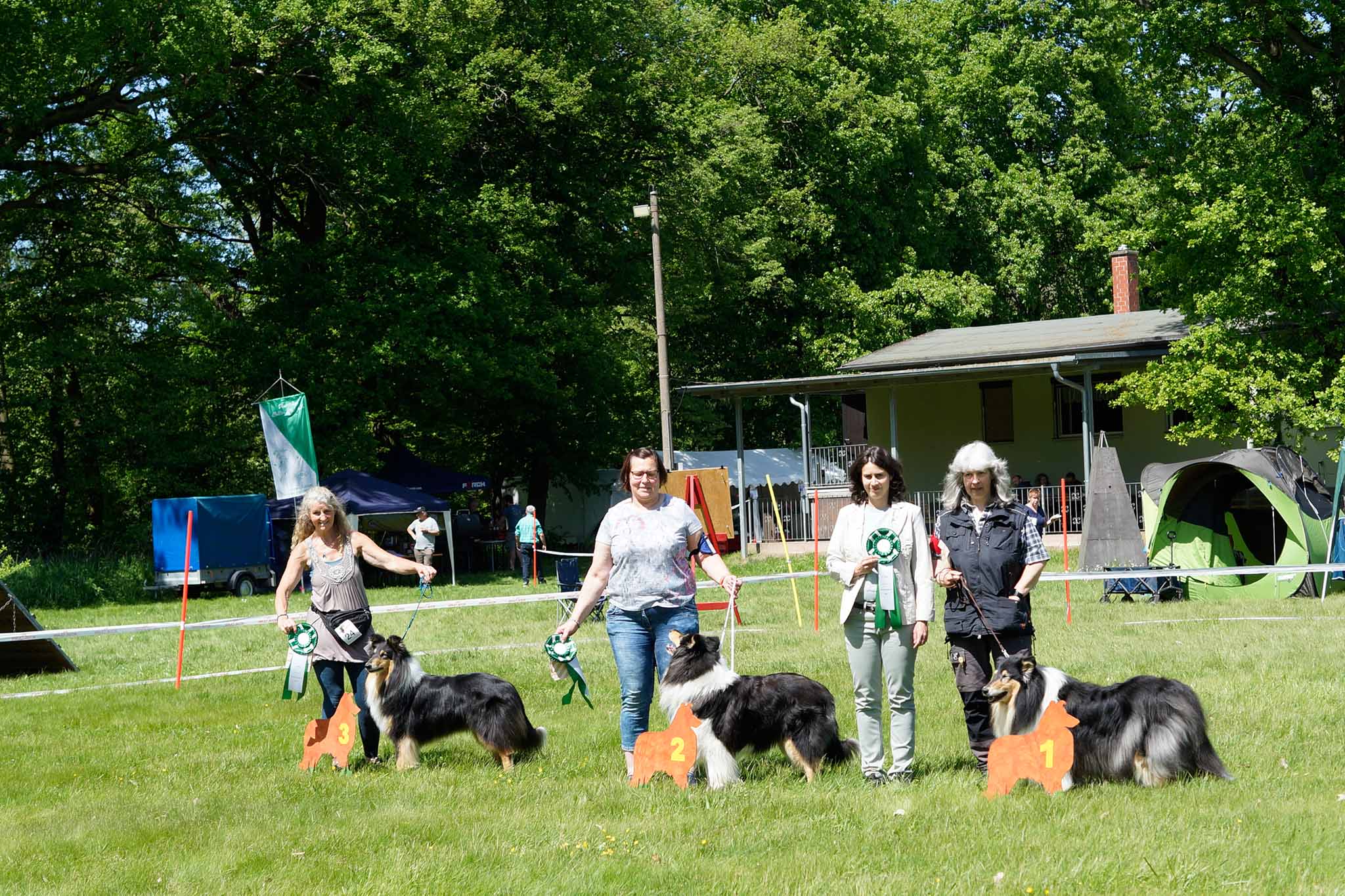 8. Sachsen Winner-Show Veteranenklasse Hündinnen klein