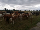 photo 2024 06 30 21 39