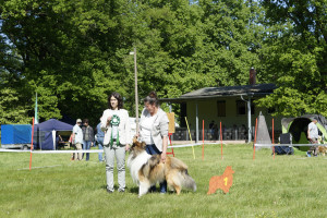  dsc3438 zwischenklasse rueden