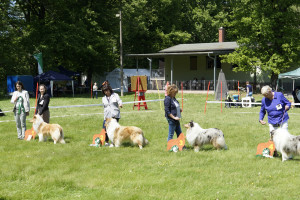 dsc3631 jugendklasse huendinnen
