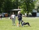  dsc3790 zwischenklasse huendinnen khc